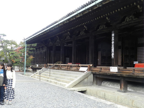 DSCN7374