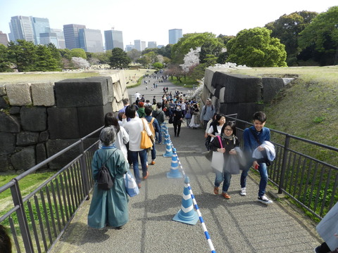 DSCN6661