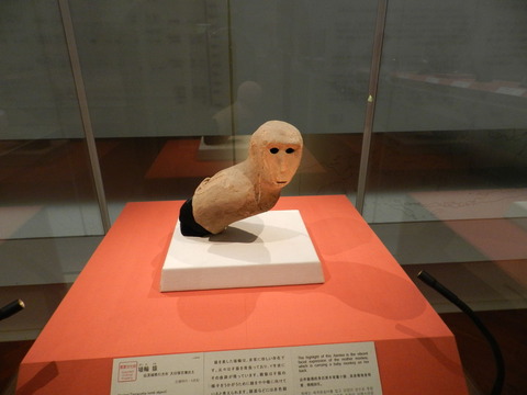 DSCN7517