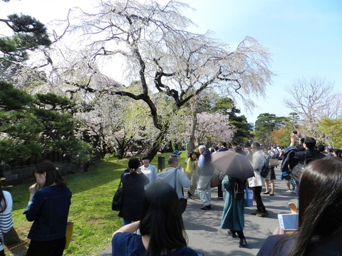 DSCN6647