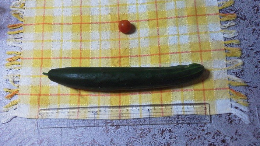 2015061620460000