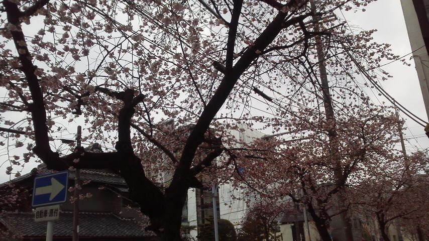 2016030614260000