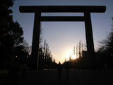 73f2f1f6.jpg