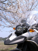 9e91ddf7.jpg