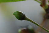 b45a6714.jpg