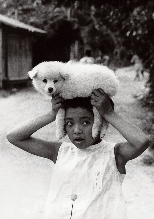 父写真犬と少女