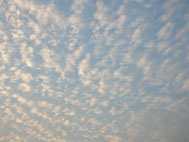 66a8c735.jpg