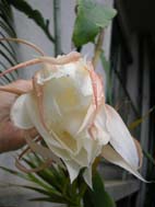 f94693f6.jpg