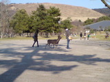 20110328153852