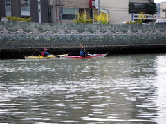 IMGP0251