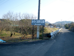 IMGP1176