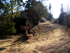 IMGP1177