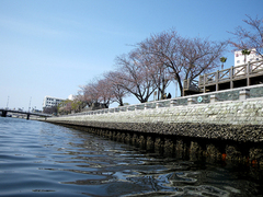 IMGP0252