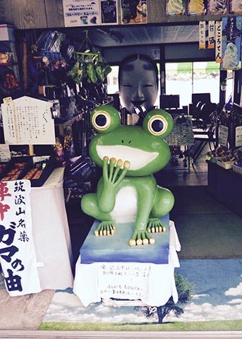 ちょっとお出掛け日記。ガマの聖地。筑波山。 : caeru blog カエルのおへそ