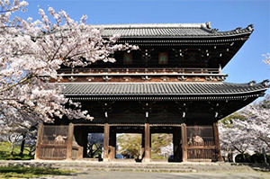 negorojispring