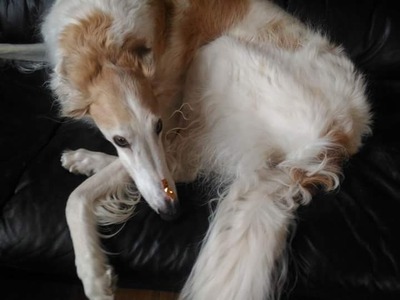 FB_IMG_1517920676229