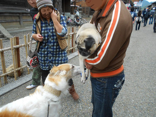 DSCN3156