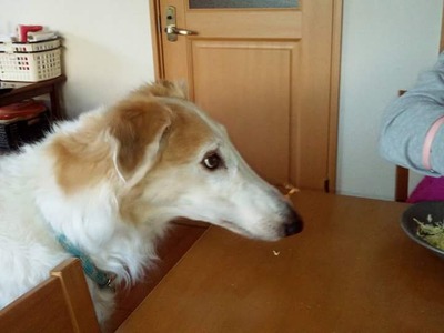 FB_IMG_1517920621075