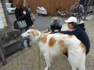 DSCN3157
