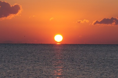 DSC05354