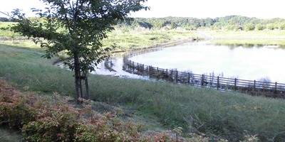 CIMG0195