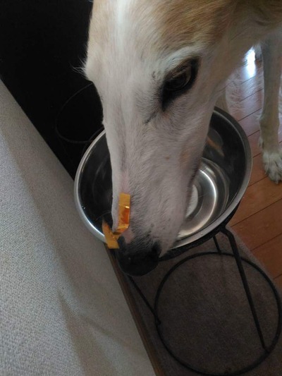 FB_IMG_1517920660005