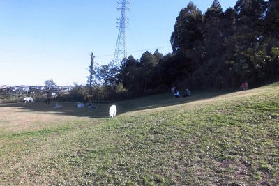 CIMG6712