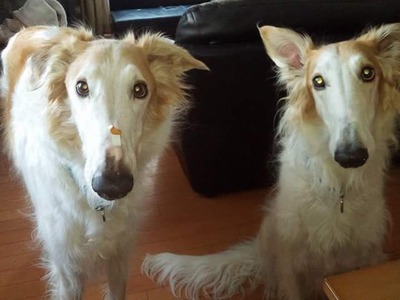 FB_IMG_1517920612148