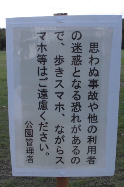 CIMG0207