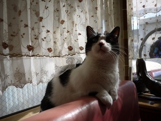 P1140928