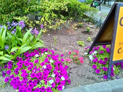 素敵な庭に cuminの日々