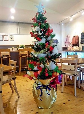 クリスマスツリーがお目見え