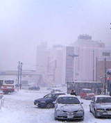 P1000355.jpg