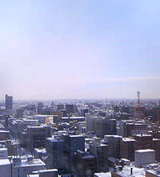P1000345.jpg
