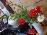 P1010074