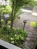 雹が降る