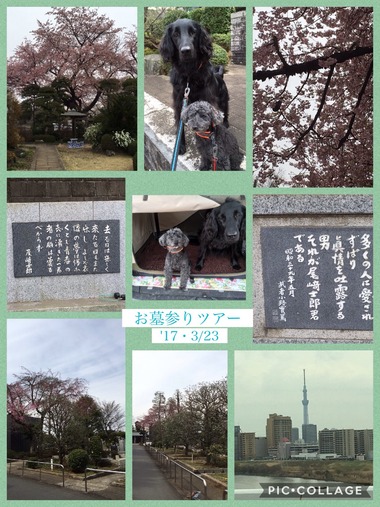 お墓参りツアー