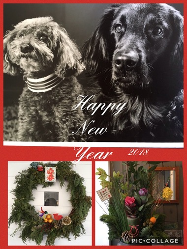 2018新年