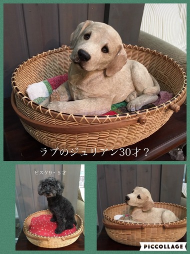 バスケットに