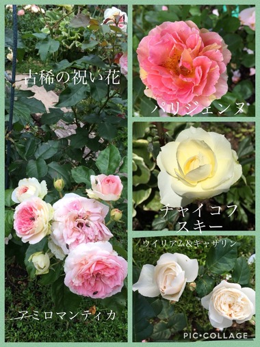 古稀の祝い花