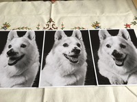 ナナ母さん