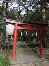 CIMG5395