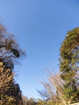 CIMG5437
