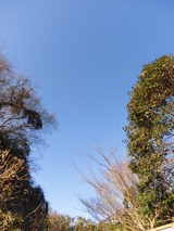 CIMG5439