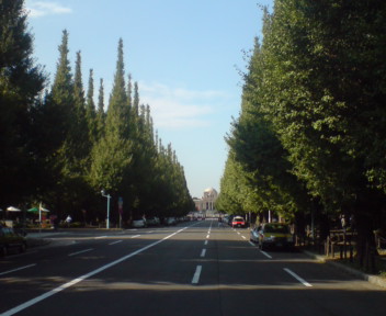 208f139c.jpg