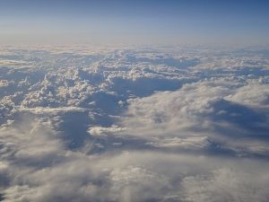 DSC00136 (300x225)