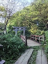c9d19e9a.jpg