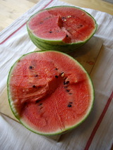 ͭ��������