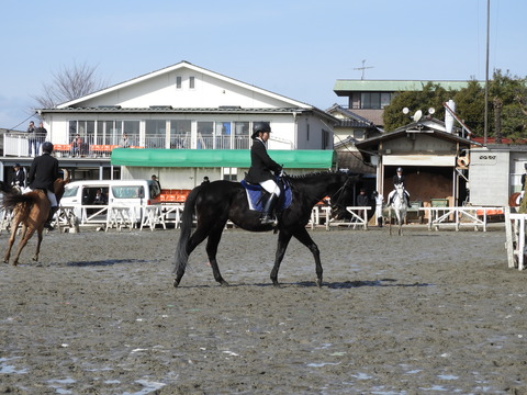 DSCN0932
