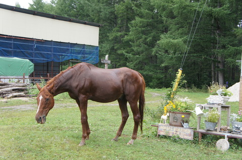 DSC00139